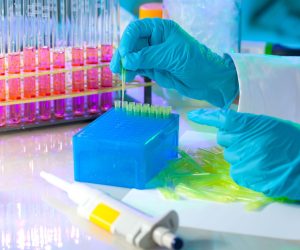 A gloved scientist pipettes liquid into small tubes in a laboratory beside a rack of test tubes and lab equipment.